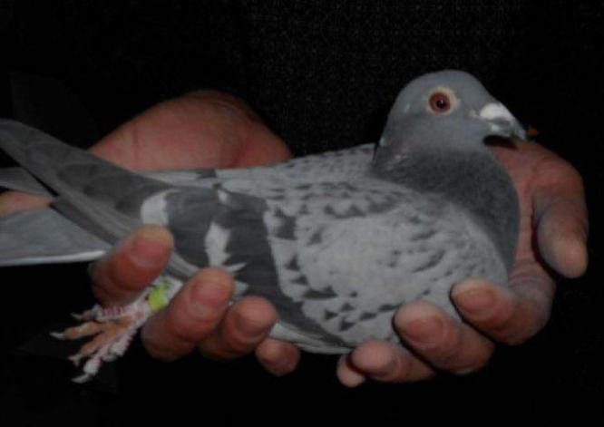 Ϊ�β��������˸��ӣ�