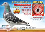 �����������������ɵ�