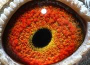 2019�����µ���Ѫ�ָ����Ʒ��