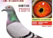 �ҵ�2019�������˿����µ�ƪ��