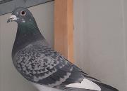 ʱ�������������루�ϣ�