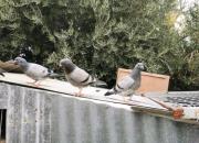 ��һ������ �Ҿ��ܵ����ж�