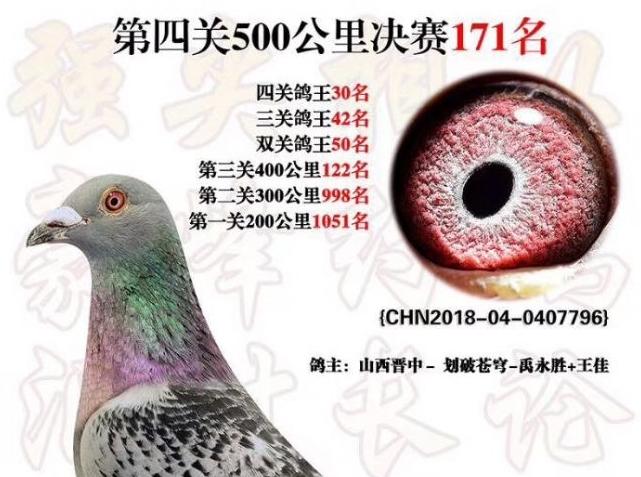 ����Ѫͳ�ã������ľ���һ�����ʣ�