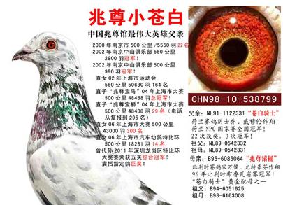 ÿ��һ�룺����֮�󡪡�����С�԰�