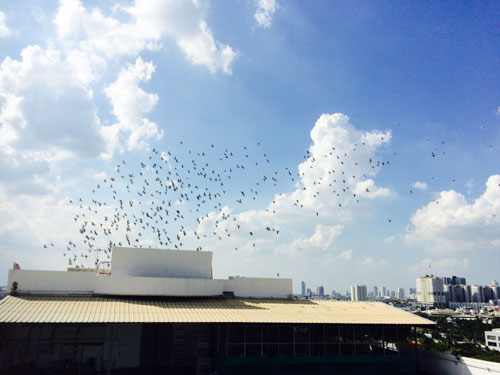 ̩���������ħ��ѵ��32�� �й�����Ӯ��������