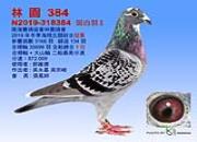 ̨�嶬������3.5��������ܹھ�����
