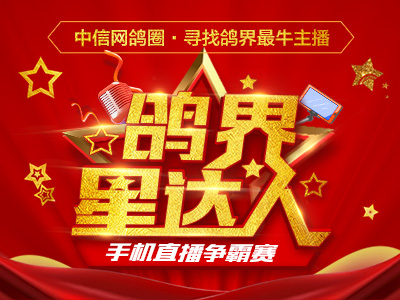 2020鸽圈“鸽界星达人”主播争霸赛进行中