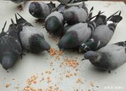 �����ع���������