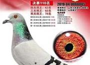 ��ɽ��л���������������д������������������805