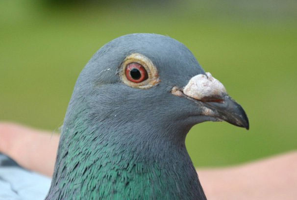 ÿ��һ�룺�����������ھ��ġ���÷¡��