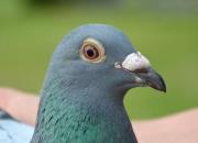 ÿ��һ�룺�����������ھ��ġ���÷¡��