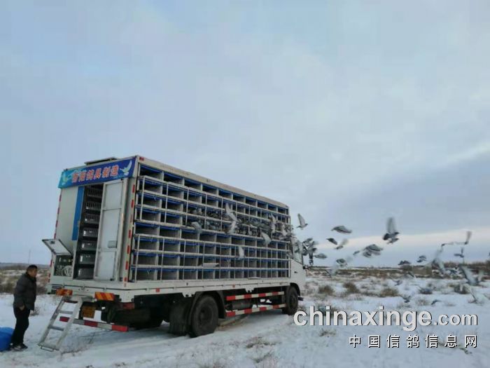 ѩ��֮ս����Ӣ�ۣ��������������Ͻ���������