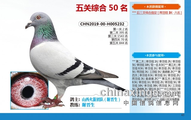 ��ɽ��л���������������д����������������˸���232