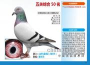 ��ɽ��л���������������д����������������˸���232