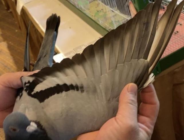 ̩�������Ŵ������ظ����ھ�����