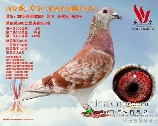 ��ɽ��л���������������д������岿 �����������ھ�����������