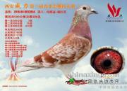 ��ɽ��л���������������д������岿 �����������ھ�����������