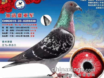 �������ɵĹ���