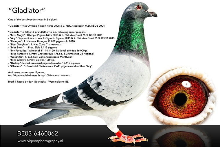 ÿ��һ�룺���ֿ�˹�����ֹ�����ʿ��