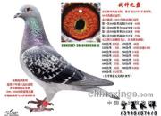 ����ϵ��ս5��ļ���40�ر���ʵս����