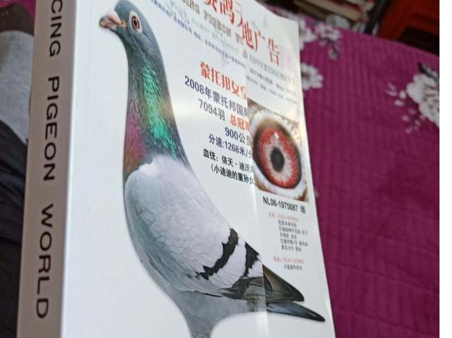 �����ж�����������������أ�