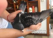 ÿ��һ�룺�������ݲ����ع�Ľ��ճ�Զ�̹ھ�