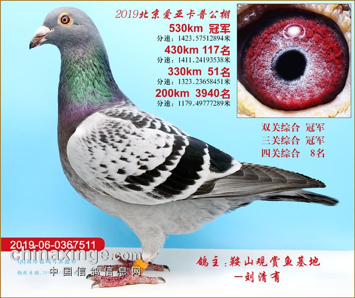 ÿ��һ�룺�ű��ղصĴ�С���չھ�