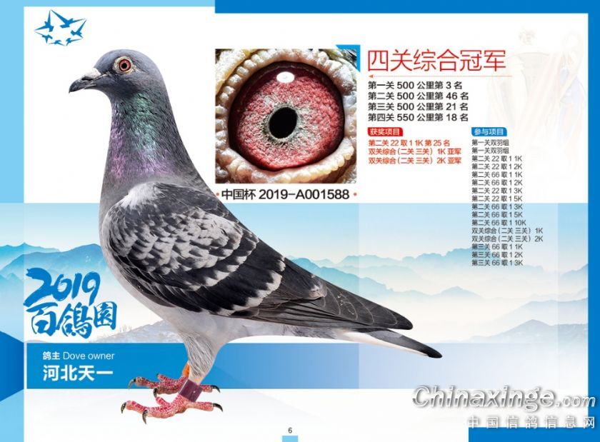 ��ǧ����ʶ����2019��ְҵ������ظ����ھ�