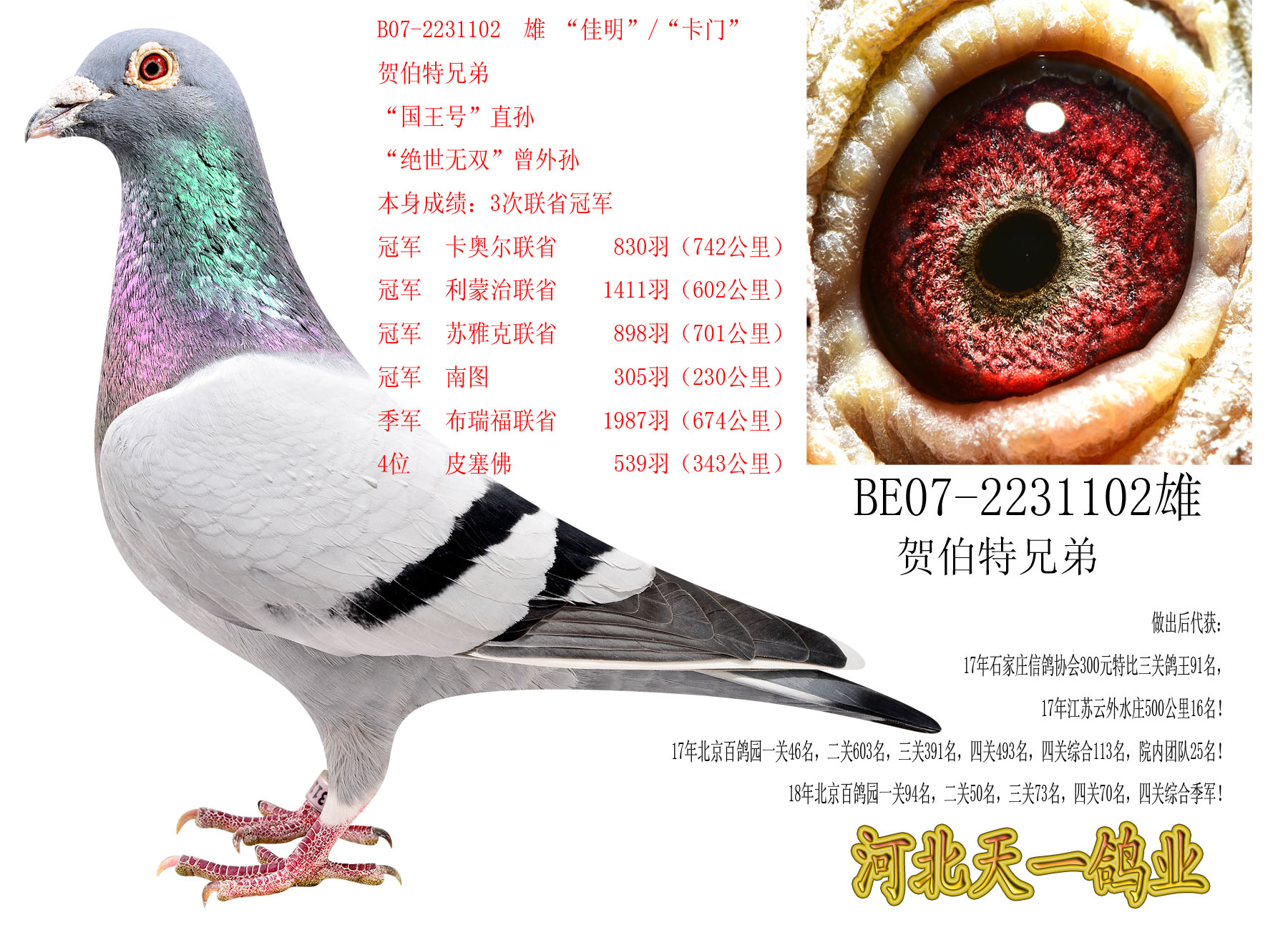 ÿ��һ�룺������ʡ�ھ��ĺز����ֵܡ����š�