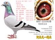 ÿ��һ�룺������ʡ�ھ��ĺز����ֵܡ����š�