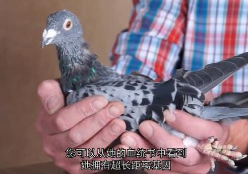 ÿ��һ�룺³��.�����������ִơ�С�ôơ�