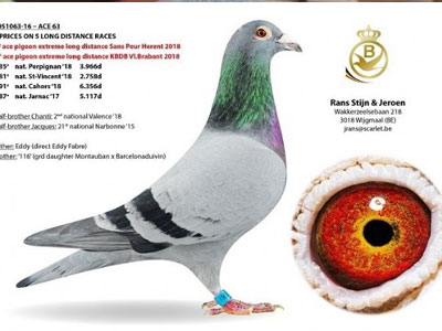 ÿ��һ�룺2019����������ܹھ�������63��