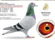 ÿ��һ�룺2019����������ܹھ�������63��