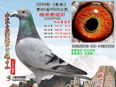 ˭˵ٹ޺ø룿Щվеļ