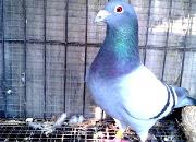 �ٿƳ�֪ʶ���ָ����ǰ�ı���������