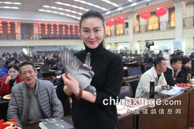 �������� �������飺����������ʤ���������