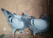 �ٿƳ�֪ʶ��3����12�㾭��������н����