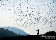 ����˲�䣺������2019��Ⱦ���ͼƬ