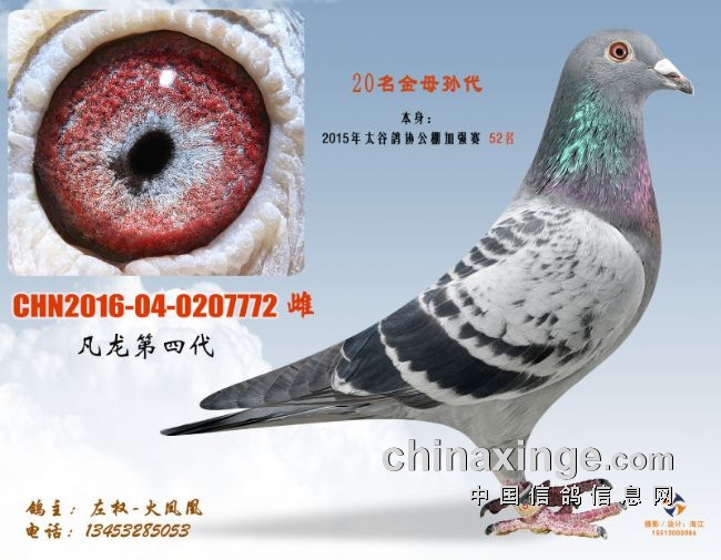 �����˶����й�Ϊʲô��ô��