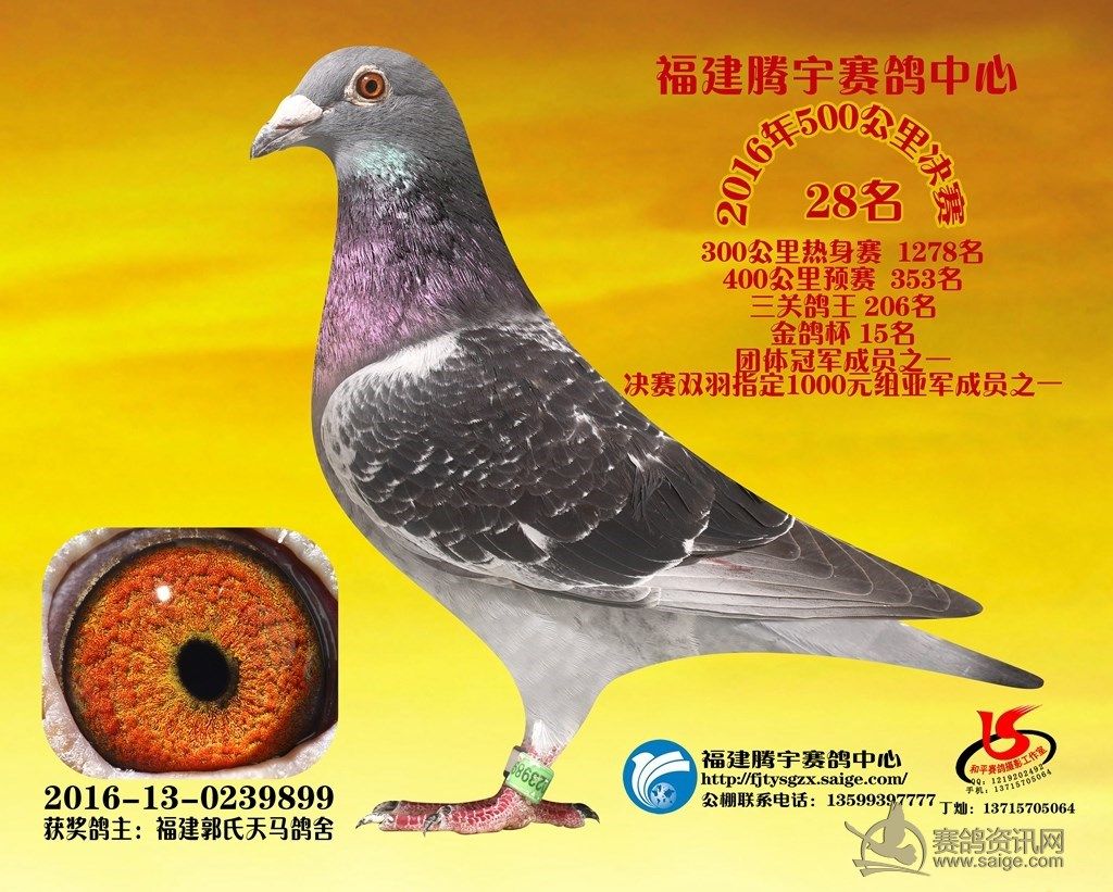 ֻ������ �����������������