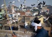 �������Ҧͬ��