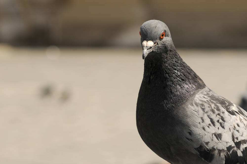 ��ѧ�����ǹؼ� ��������������