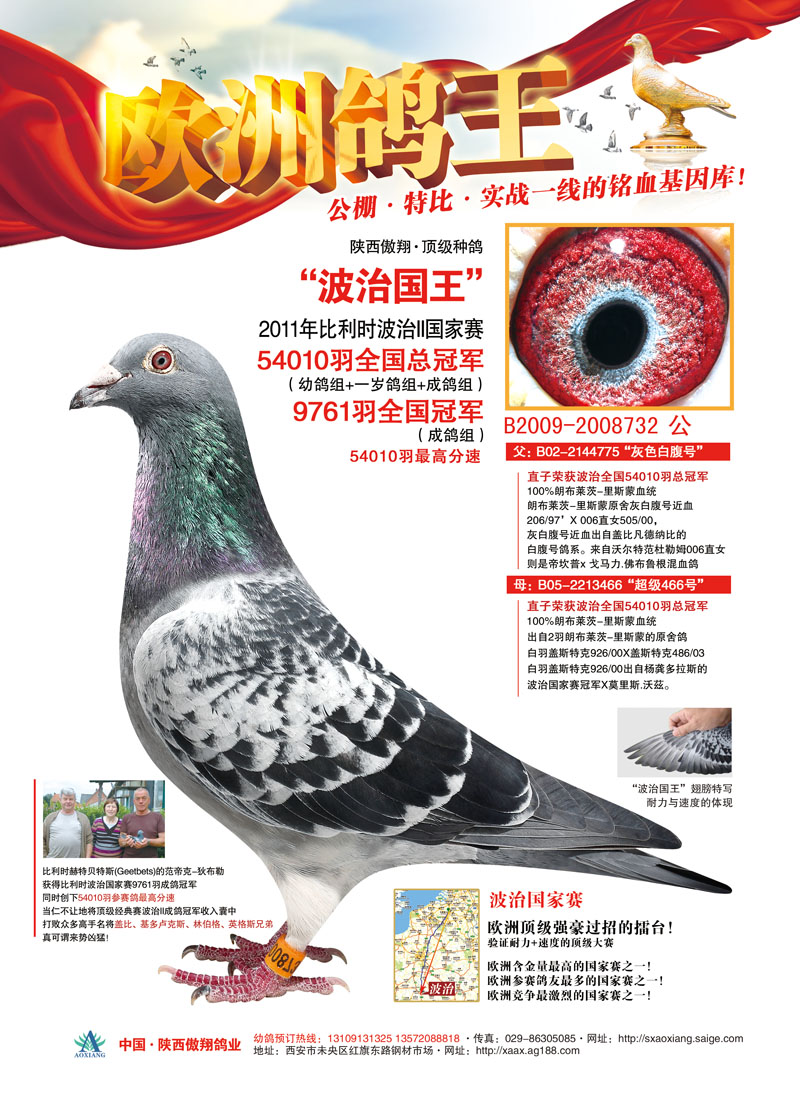 ÿ��һ�룺����5�����ܹھ��������ι���