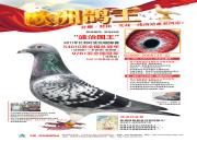 ÿ��һ�룺����5�����ܹھ��������ι���