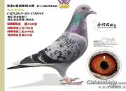 �ҵ�2019���������Ӷ���������ϲ������