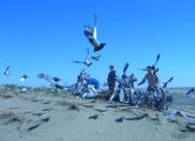 ҹ���������������˷������ĵ����֮��