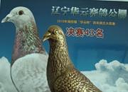 �Ű���ս�����������ն�������43��