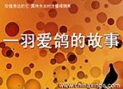 ������Ե�������׸�ҷɶ�ʧ ������漣�ɹ�