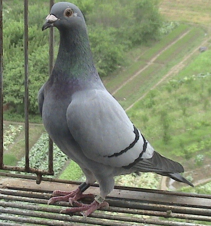 ���¹�����Ӱ�� �������Ƹ��Ͼ���