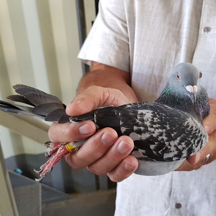 ���ȿ����Ϸǰ�������������ھ�����